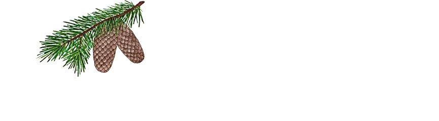 Balsam Community Center Logo 2026 White